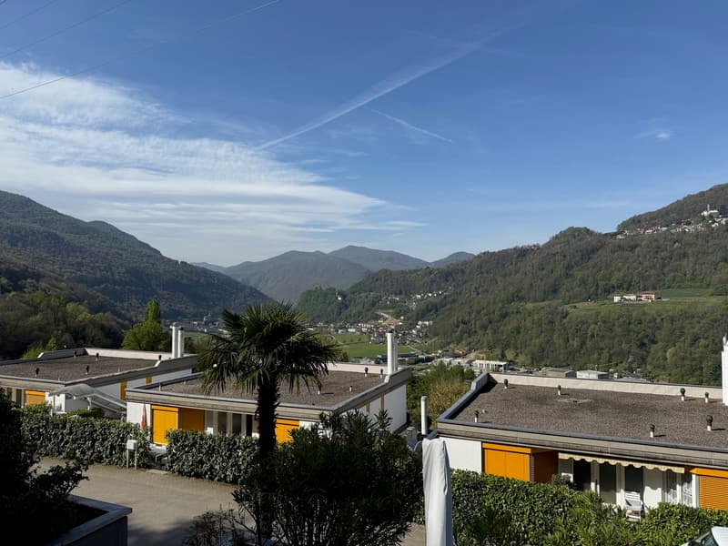2.5 Zi.- Whg mit GROSSER TERRASSE! - 2.5 locali con AMPIA TERRAZZA (1)