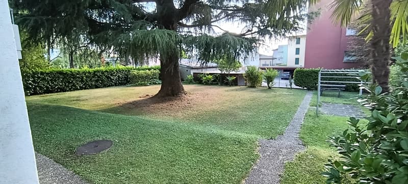 3.5 locali in zona tranquilla (10)