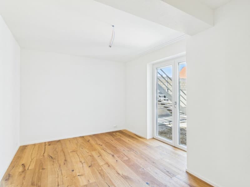 Spacious 7.5 room apartment renovated for large families (4)