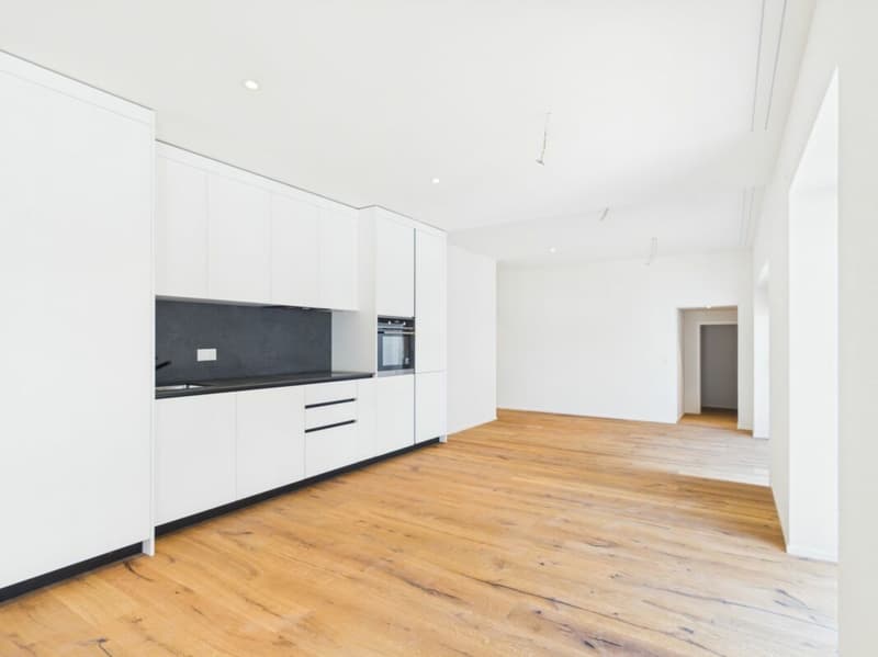 Spacious 7.5 room apartment renovated for large families (1)