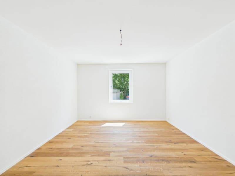 Spacious 7.5 room apartment renovated for large families (3)