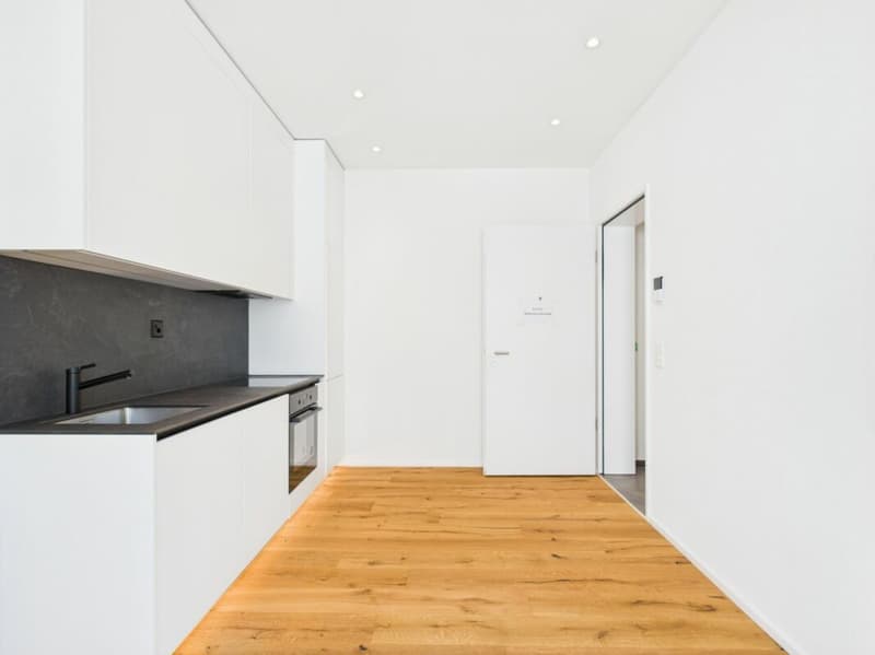 Charmante 1.5-Zimmer-Wohnung in Birmenstorf (1)