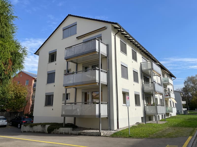 Charmantes 1.5 Zimmer-Dachgeschoss-Wohnung in Bassersdorf (1)