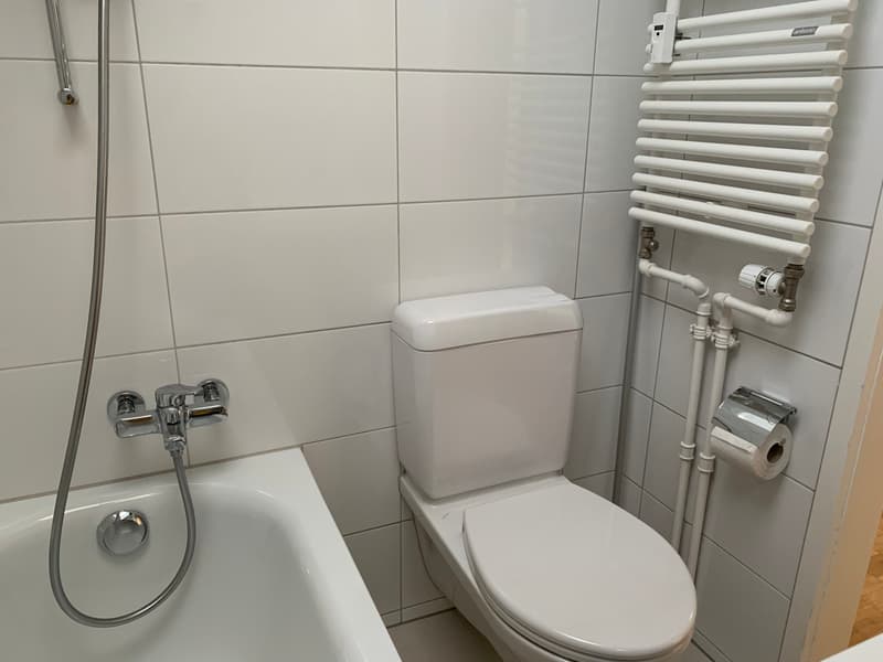 Charmantes 1.5 Zimmer-Dachgeschoss-Wohnung in Bassersdorf (8)