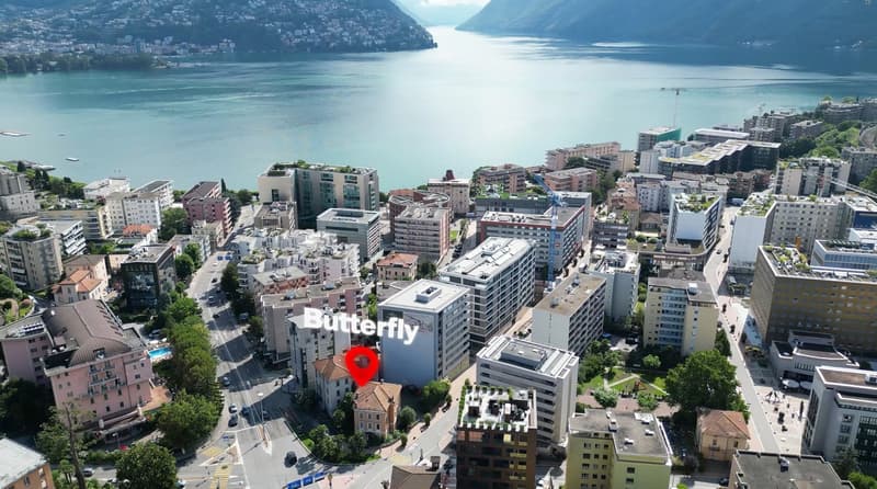 Nel cuore di Paradiso TI | Uffici e spazi commerciali 86 m2 - 1'715 m2 (7)