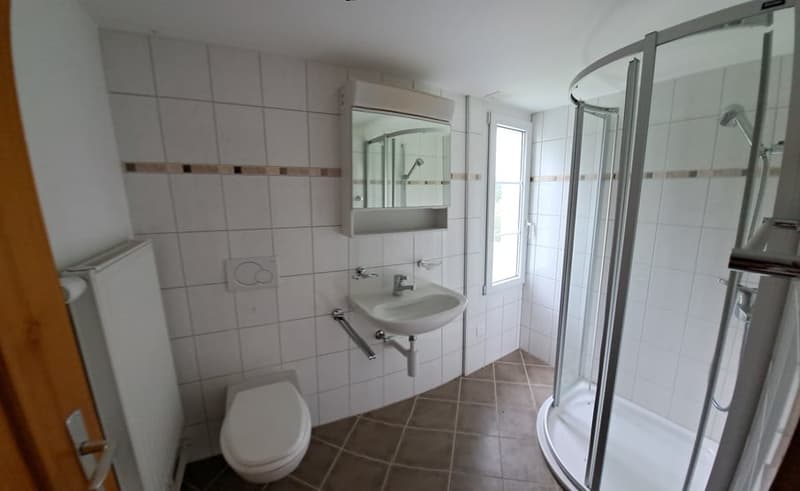 Tiled bathroom with a sink, toilet, and shower enclosure