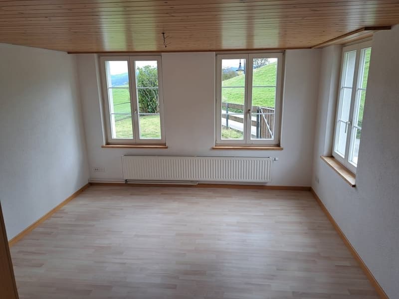 Spacious living room with large windows overlooking a grassy outdoor area, hardwood flooring, and a radiator along the wall.