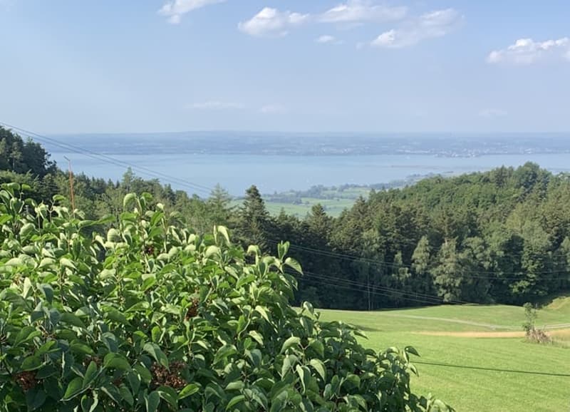 A view from the garden looking over a large green field and a water body