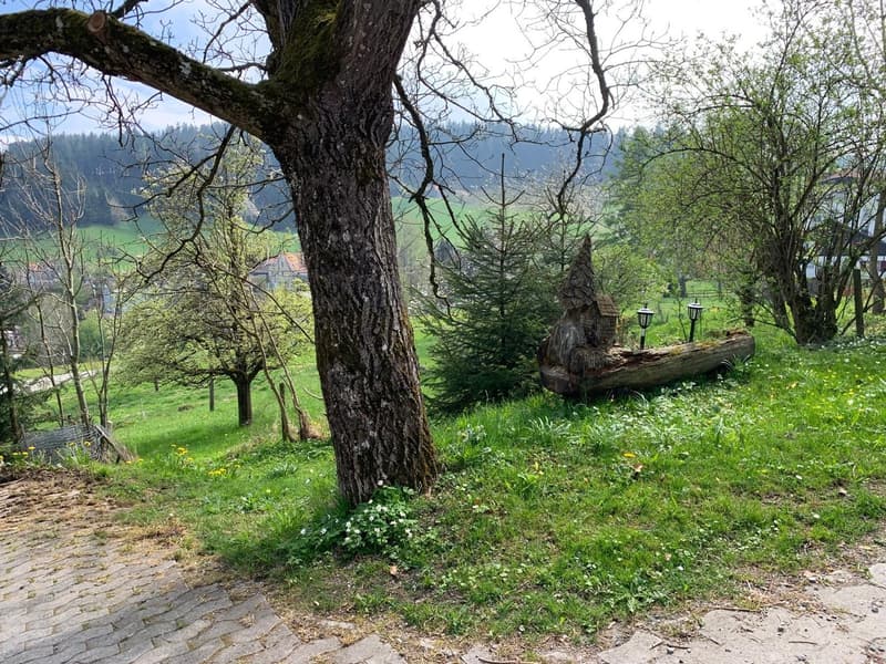 grassy field with trees, log bench, street lamp, pathway, green field, houses in distance