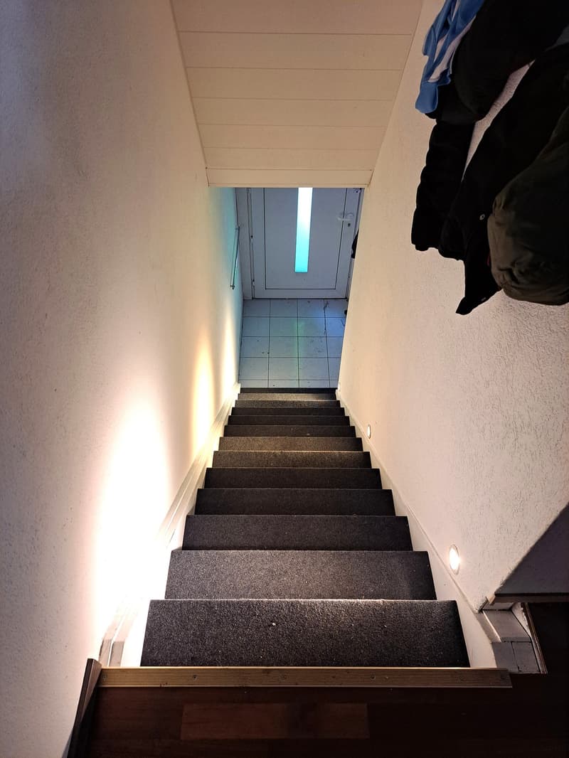 Concrete steps with white tiles, carpeted flooring, wooden railings, white walls, bright lighting
