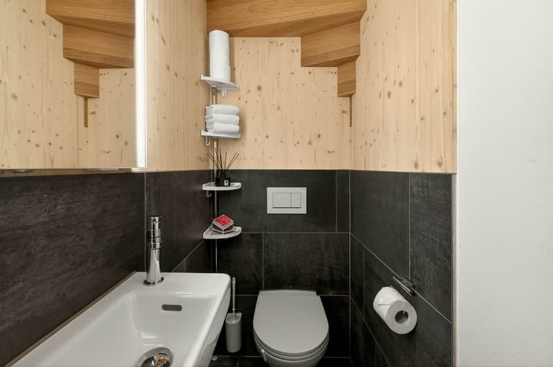 Ihr Traumhaus mit unverbaubarem Bergblick (18)