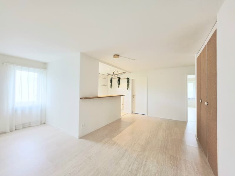 Appartamento luminoso 4.5 locali con balcone soleggiato (5)
