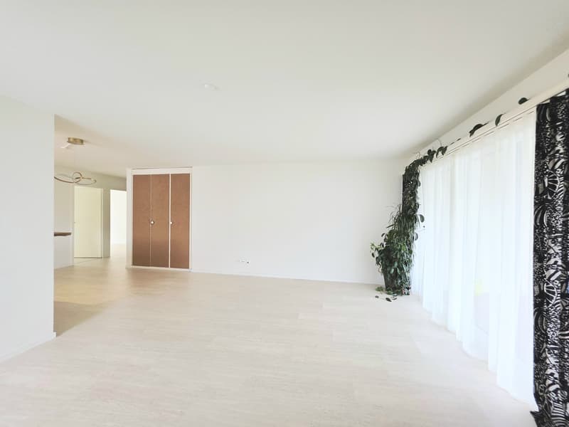 Appartamento luminoso 4.5 locali con balcone soleggiato (4)