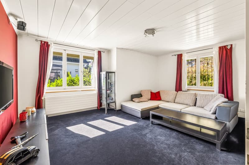 Urbanes Einfamilienhaus im Grünen (4)