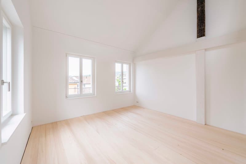 Designerwohnung - Moderne trifft auf Tradition (13)