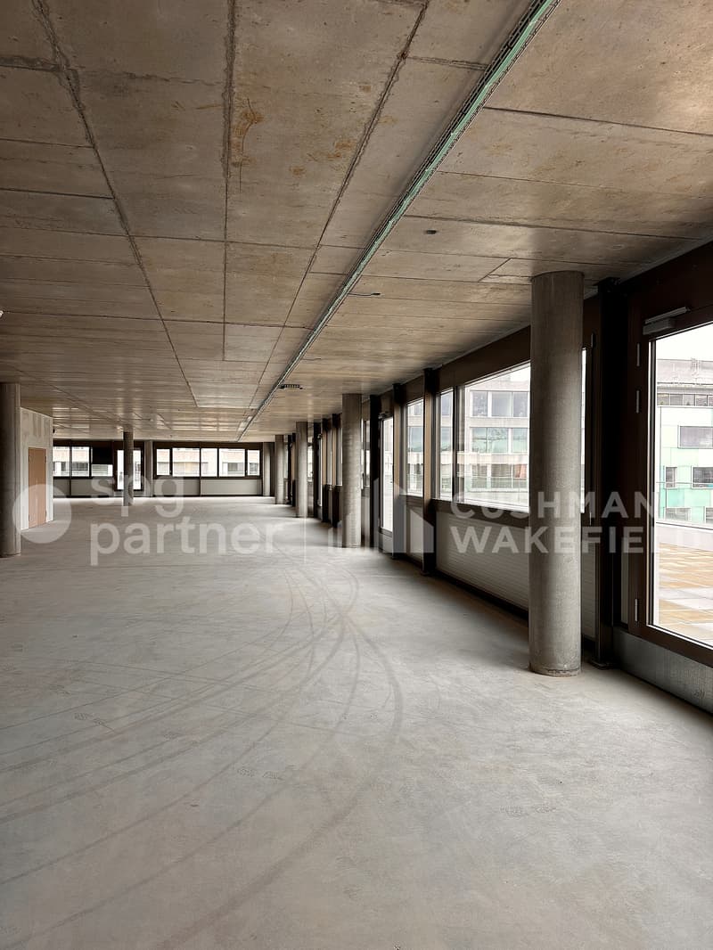 SPARK - Modular attic with panoramic terrace in Plan-les-Ouates (3)