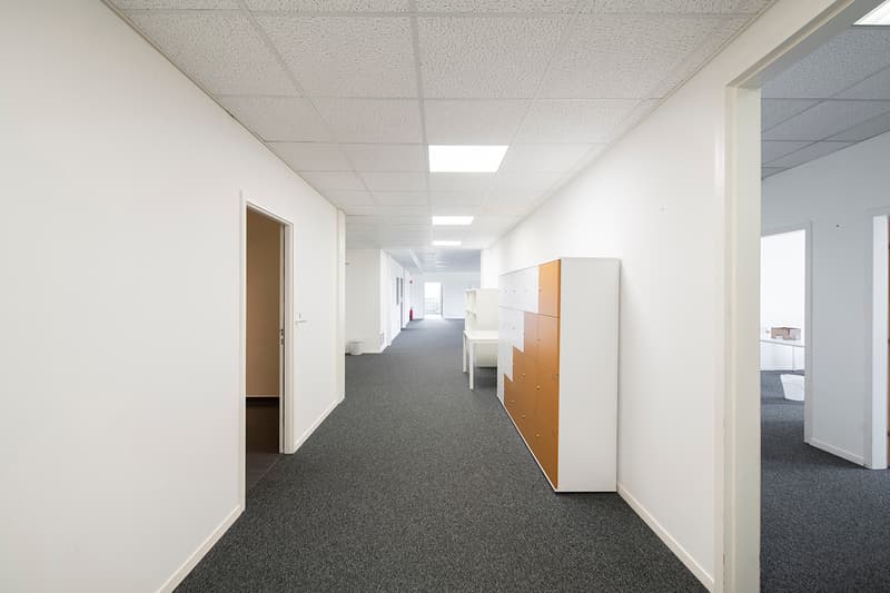 CTN - Biotech Equipped Laboratories (4)