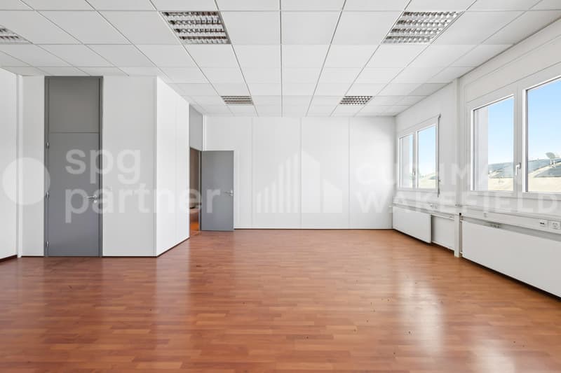 Commercial and administrative spaces in Meyrin - Grand-Puits 42 ready for use (7)