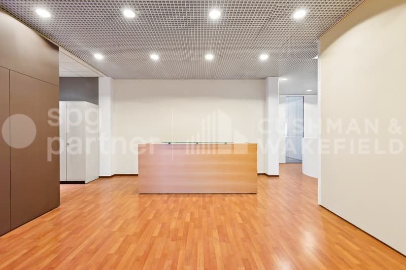 Commercial and administrative spaces in Meyrin - Grand-Puits 42 ready for use (13)