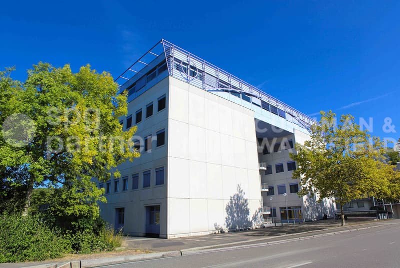 Commercial and administrative spaces in Meyrin - Grand-Puits 42 ready for use (1)