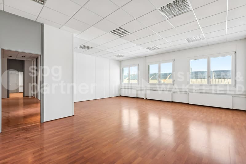 Commercial and administrative spaces in Meyrin - Grand-Puits 42 ready for use (11)
