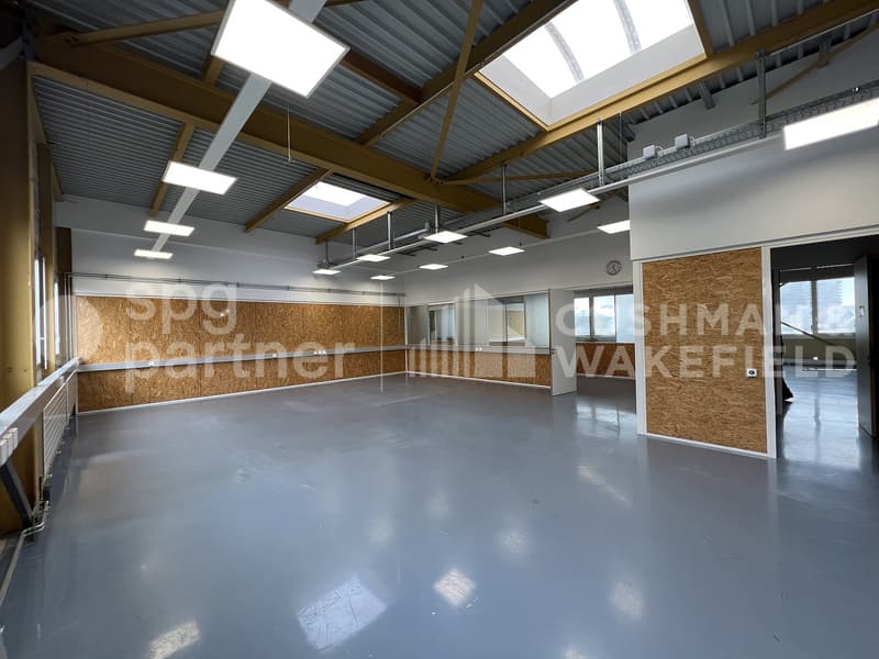 Veyrot 25 - Craft and industrial premises in the heart of ZIMEYSA (6)