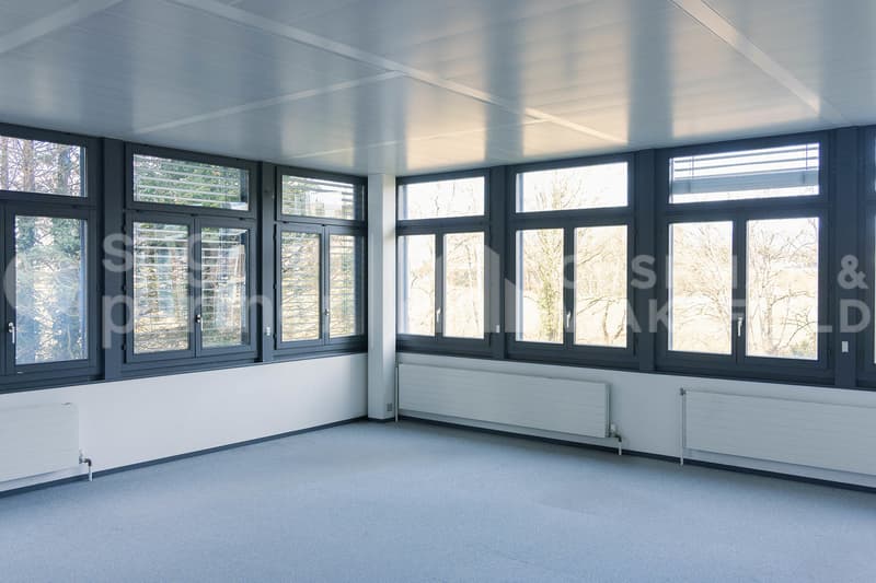 Bright administrative and craft premises in the heart of ZIMEYSA - Veyrot 11 (9)