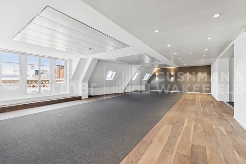 Premium offices with terrace and lake view - Passage des Lions 6 (8)