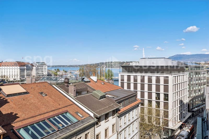 Premium offices with terrace and lake view - Passage des Lions 6 (12)
