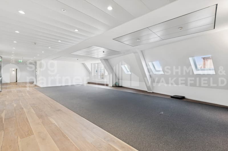 Premium offices with terrace and lake view - Passage des Lions 6 (3)