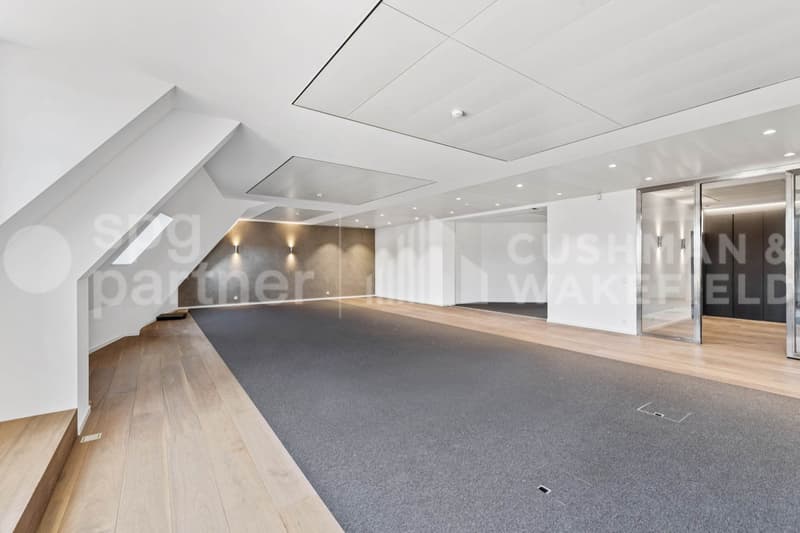 Premium offices with terrace and lake view - Passage des Lions 6 (11)