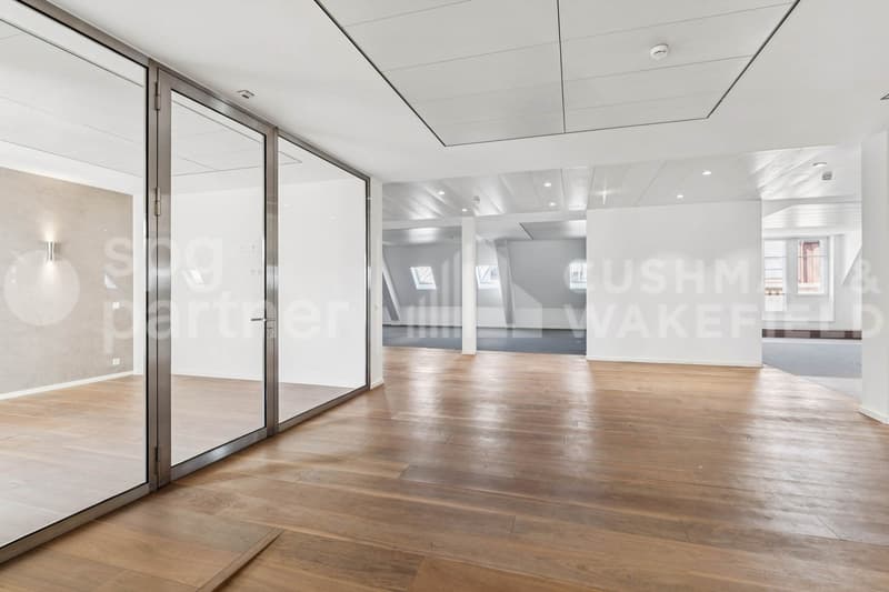 Premium offices with terrace and lake view - Passage des Lions 6 (7)