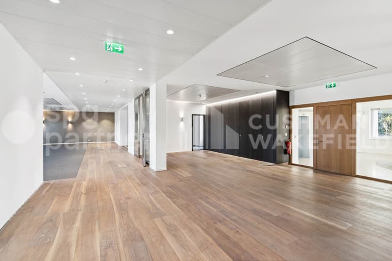 Premium offices with terrace and lake view - Passage des Lions 6 (2)