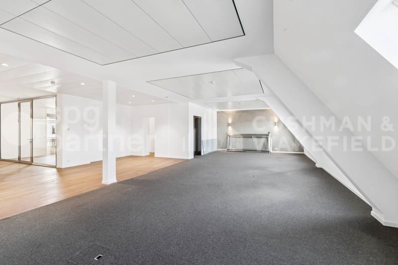 Premium offices with terrace and lake view - Passage des Lions 6 (10)
