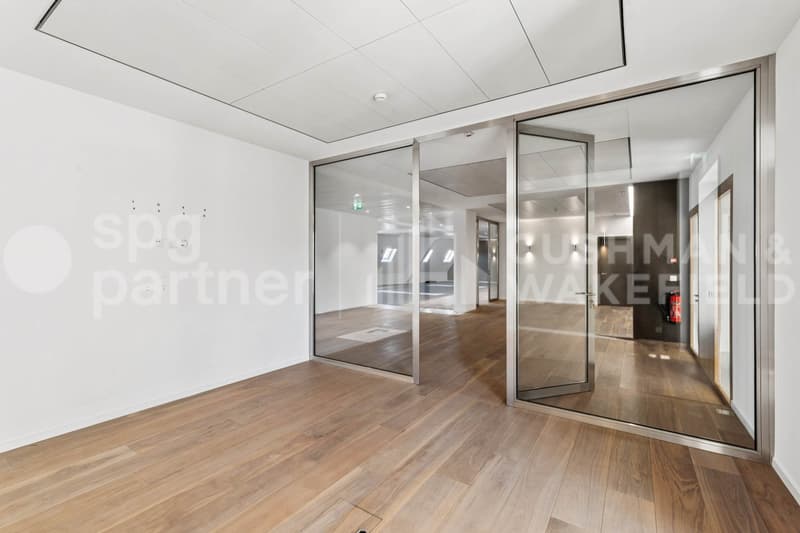 Premium offices with terrace and lake view - Passage des Lions 6 (4)