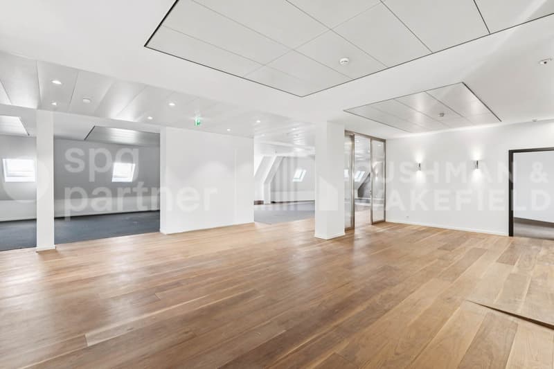 Premium offices with terrace and lake view - Passage des Lions 6 (9)