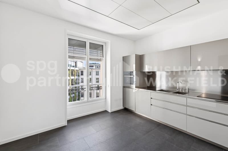 Premium offices with terrace and lake view - Passage des Lions 6 (5)