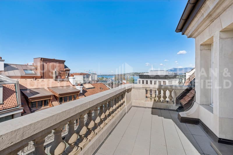 Premium offices with terrace and lake view - Passage des Lions 6 (13)