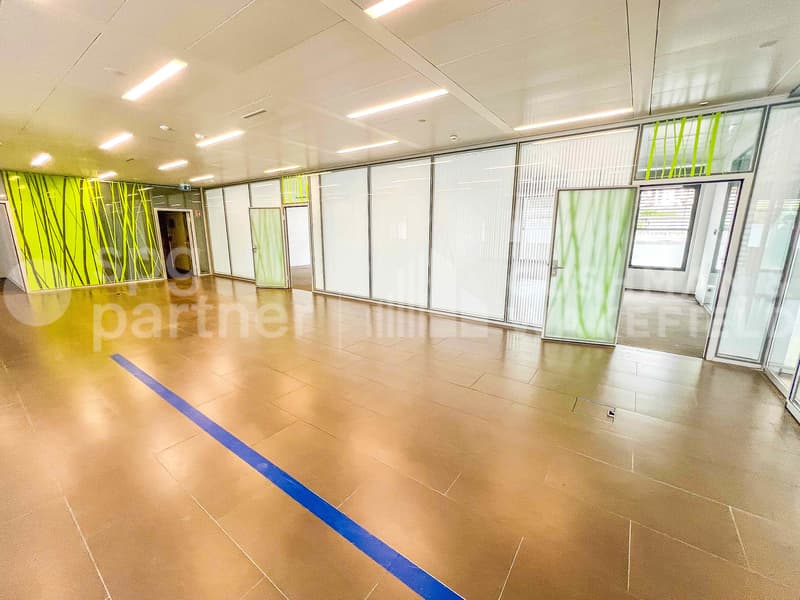 Bureaux lumineux de 210 m² à louer | Chemin des Olliquettes 10, Lancy (7)