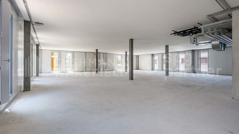 Quarz'Hub - Bâtiment industriel et artisanal à vendre à Vernier (13)