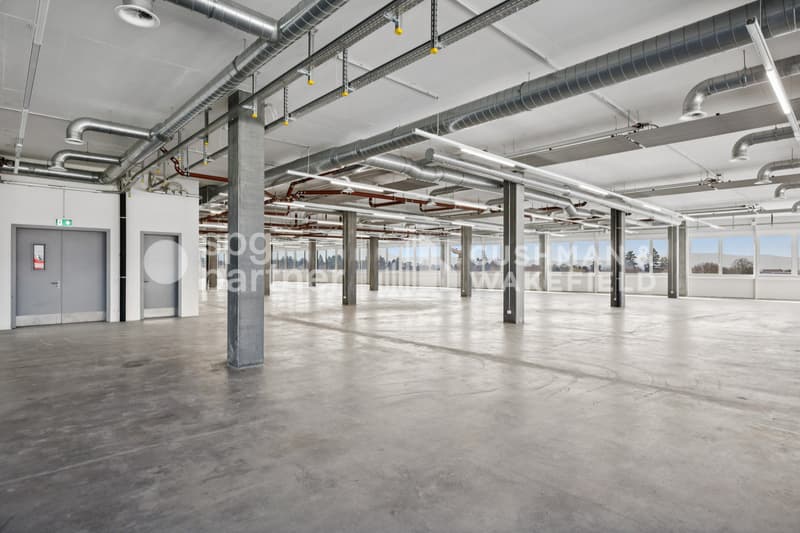 Métiers Vernier - Locali industriali e laboratori modulabili da 330 m² (7)