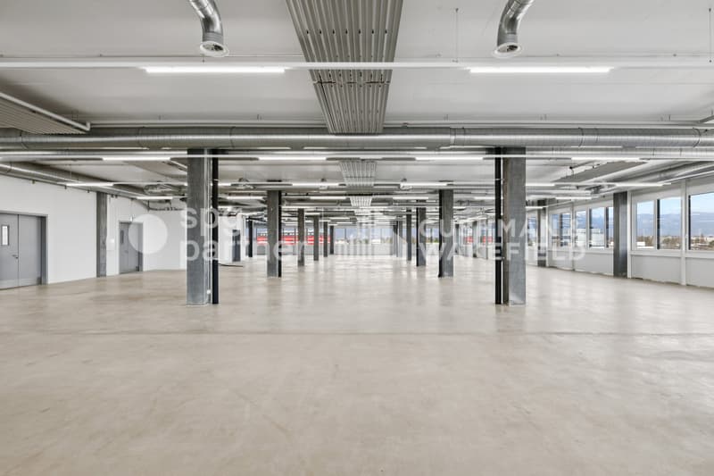 Métiers Vernier - Locali industriali e laboratori modulabili da 330 m² (2)