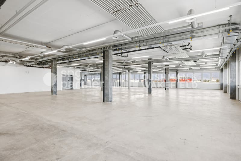 Métiers Vernier - Locali industriali e laboratori modulabili da 330 m² (10)