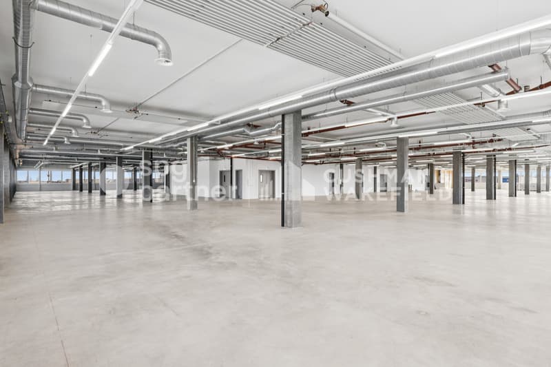 Métiers Vernier - Locali industriali e laboratori modulabili da 330 m² (2)
