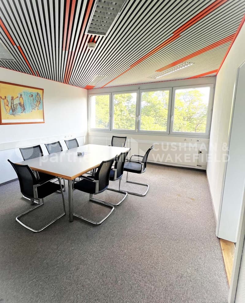 ST-CERGUE 297 - Uffici luminosi e funzionali disponibili per l'affitto o la vendita (7)