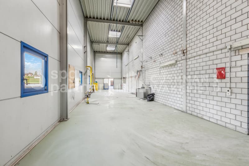 COLLEGE 43 - Locali industriali con seminterrato e attrezzature tecniche complete (8)