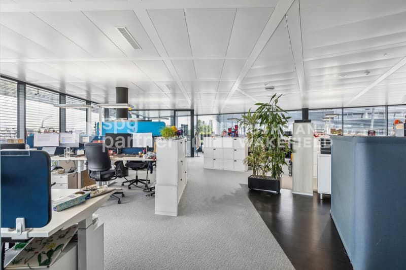 Uffici Plug & Play in un edificio di lusso a Terre Bonne Nyon (3)