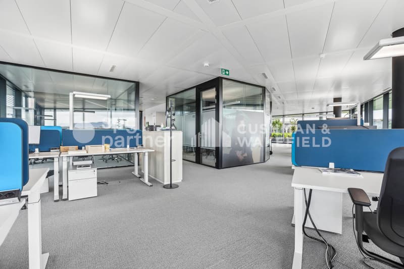 Uffici Plug & Play in un edificio di lusso a Terre Bonne Nyon (9)