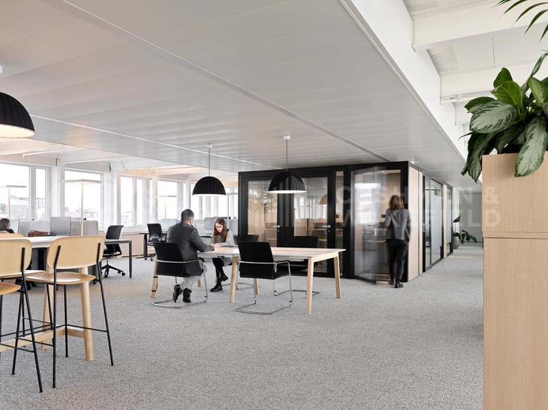 OUCHY 4-6 Büroflächen Plug & Play für Ihr Wachstum (10)