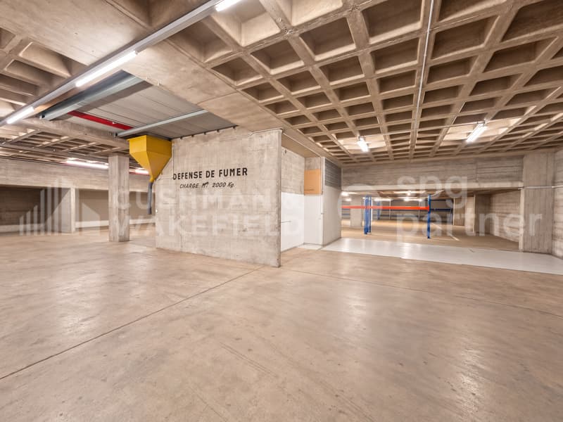Jeunes 23 - Dépôt logistique au rez-de-chaussée de 1?000 m², La Praille (9)